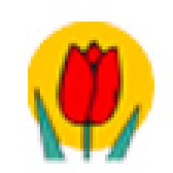 Jardinerie Tulipe